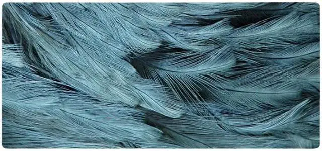 Main image of Anymob Mouse Pad Mint Blue 400X900X4MM Feather Art Design Laptop Gaming Rubber Pad