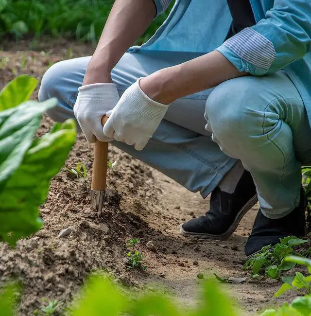 Alt view image 7 of 7 - 1 set Seed Planter Tool Hand Dibber Bulb Planter Seed Dispenser for Gardening,Sowing Seeds,Transplanting Plants,Planting Bulbs,Digging Stainless Steel