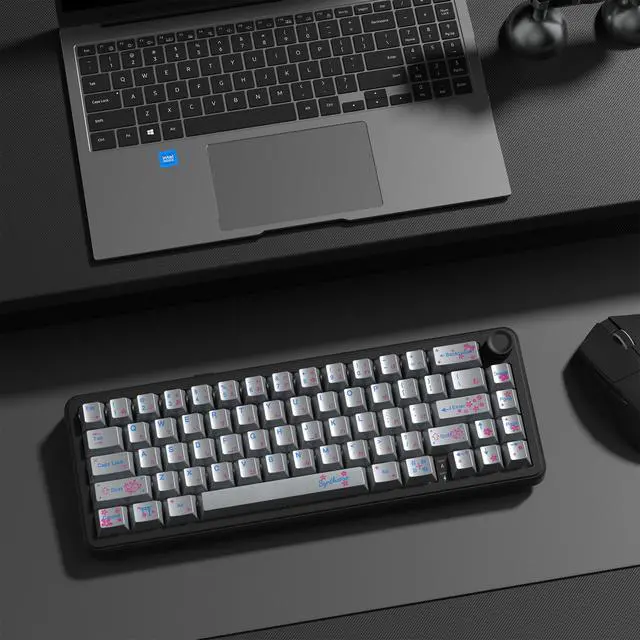 Alt view image 7 of 7 - Womier Keyboard keycaps Set, Double Shot PBT keycaps,Cherry Profile Custom Key caps 60 65 75 100 Percent for Cherry-mx Full Size Retro Mechanical Keyboard,130-keys Metal Coating,Silver