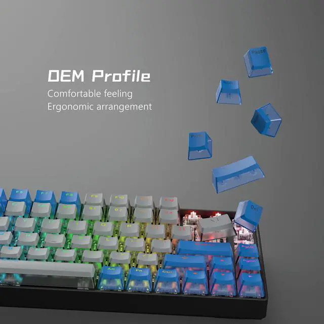 Alt view image 3 of 6 - Womier PBT Pudding Keycaps- Shine Through Keycaps | 164 Keys Keycap Set 60 65 75 100 Percent, OEM Profile for Custom Cherry Gateron MX Switches Mechanical Keyboard, Blue