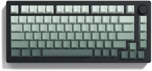 Alt view image 4 of 7 - Womier Double Shot PBT keycaps Set,Shine Through Keyboard keycaps Gradient 60% 75% 100%,OEM Profile Keyboard caps,Side Printed Key caps for Mechanical Gaming Keyboards,Seaweed Green
