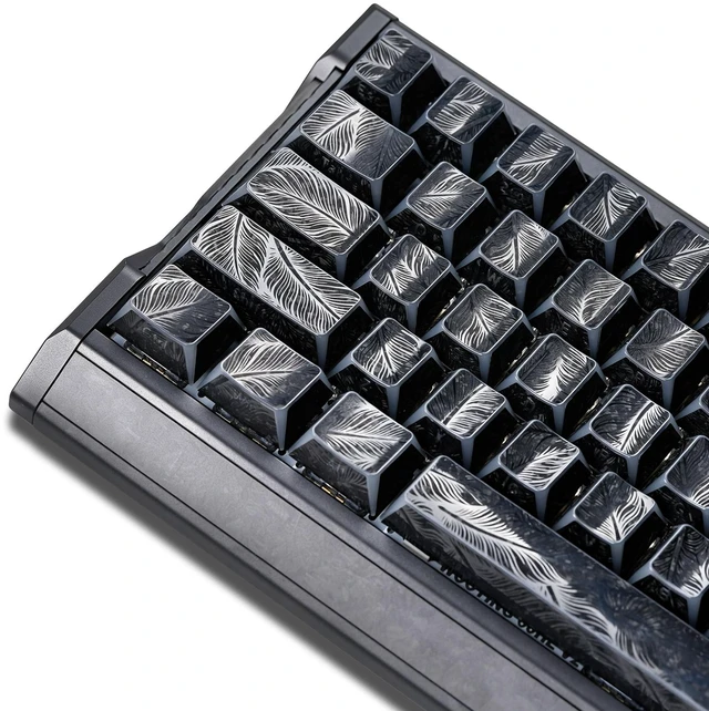 Main image of Womier Double Shot Keycaps Shine Through Side Print, Black Feather Texture