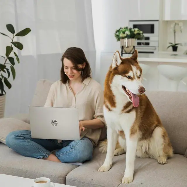 Alt view image 7 of 7 - HP 15.6" IPS FHD Touchscreen Everyday Laptop Intel core i5-1334U (Beat i7-1255U) 32GB RAM 1TB SSD Intel Iris Xe Graphics HDMI USB-C Long battery life AI Copilot Windows 11 Pro Silver | Cooling Fan