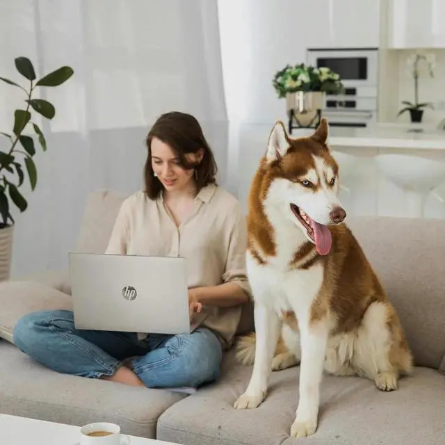 Alt view image 6 of 7 - HP 15.6" IPS FHD Touchscreen Everyday Laptop Intel Core 5 120U (Beat i5-1335U) 8GB RAM 512GB SSD Intel Iris Xe Graphics HDMI USB-C Long battery life AI Copilot Windows 11 Pro Silver | Cooling Fan