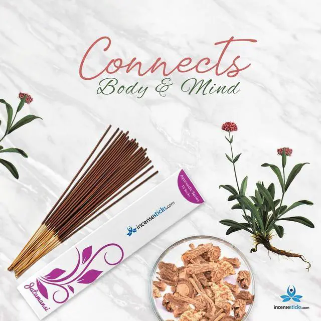 Main image of Jatamansi Incense  8" 10 Sticks