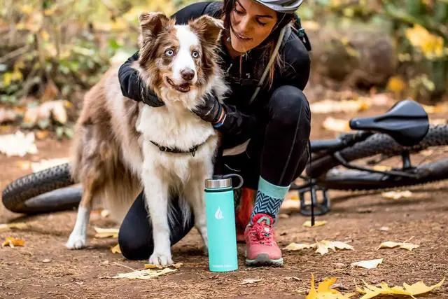 Alt view image 5 of 7 - HYDRO CELL Stainless Steel Insulated Water Bottle with Straw - For Cold & Hot Drinks - Metal Vacuum Flask with Screw Cap and Modern Leakproof Sport Thermos for Kids & Adults (Teal 24oz)