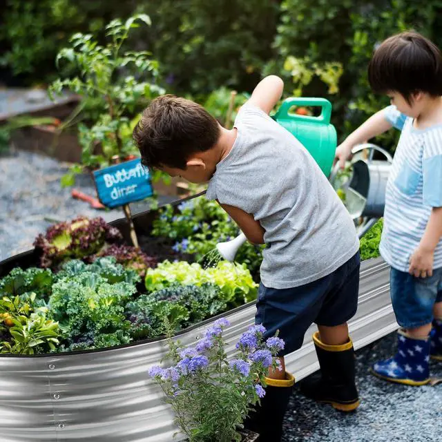 Alt view image 2 of 7 - JERIA 8×4×1ft Oval Raised Garden Bed,Galvanized Raised Garden Bed Kit Outdoor Metal Gardening Planter Box for Vegetable, Fruits, FlowerHerbs