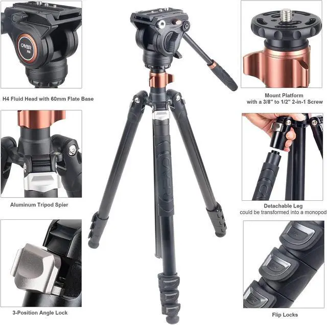 Alt view image 2 of 5 - Cayer BV30L 72 Inches Video Tripod System Kit and FP2450 Video Tripod