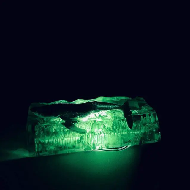 Main image of LINWIN Green Whale Keycap, Enter/Shift Keycap for MX Mechanical Keyboard Unique Gifts for Friend