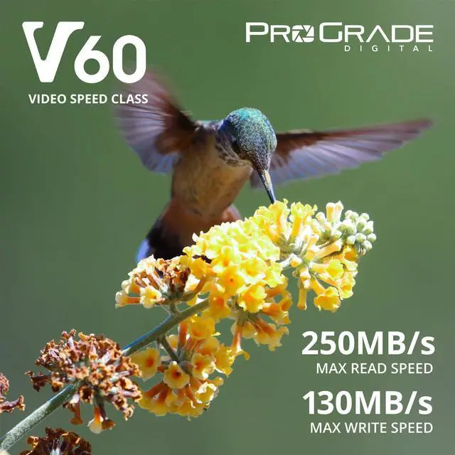 Alt view image 2 of 5 - SD UHS-II 128GB Card V60 Up to 130MB/s Write Speed and 250 MB/s Read Speed | for Professional Vloggers, Filmmakers, Photographers & Content Curators  by Prograde Digital