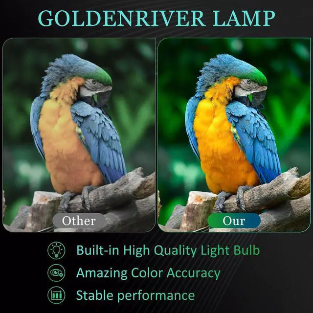 Alt view image 3 of 5 - GOLDENRIVER TLPLP4 Replacement Lamp with Housing Compatible with Toshiba TDP-P4 Projectors