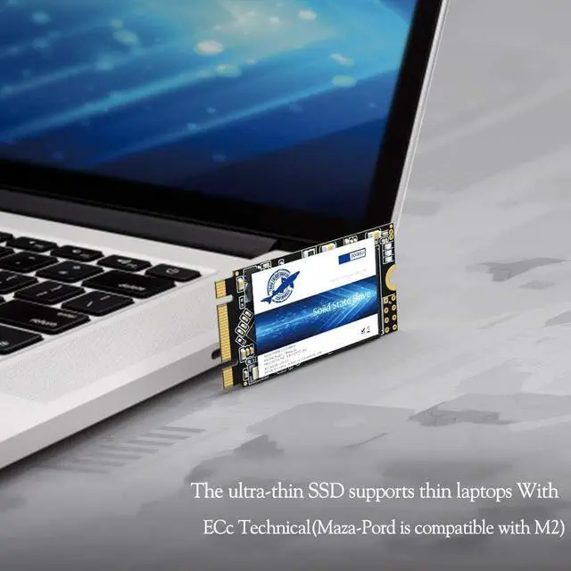 Alt view image 5 of 5 - Dogfish SSD M.2 2242 250GB Unidad De Estado S?ido Incorporada Height PC Unit?a Stato Solido Integrata Interno MLC Desktop Laptop Hard Drive Disk m2(M.2 2242 250GB)