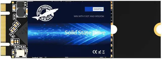 Main image of SSD M.2 2260 1TB Dogfish Ngff Internal Solid State Drive High Performance Hard Drive for Desktop Laptop SATA III 6Gb/s Includes SSD (1TB M.2 2260)