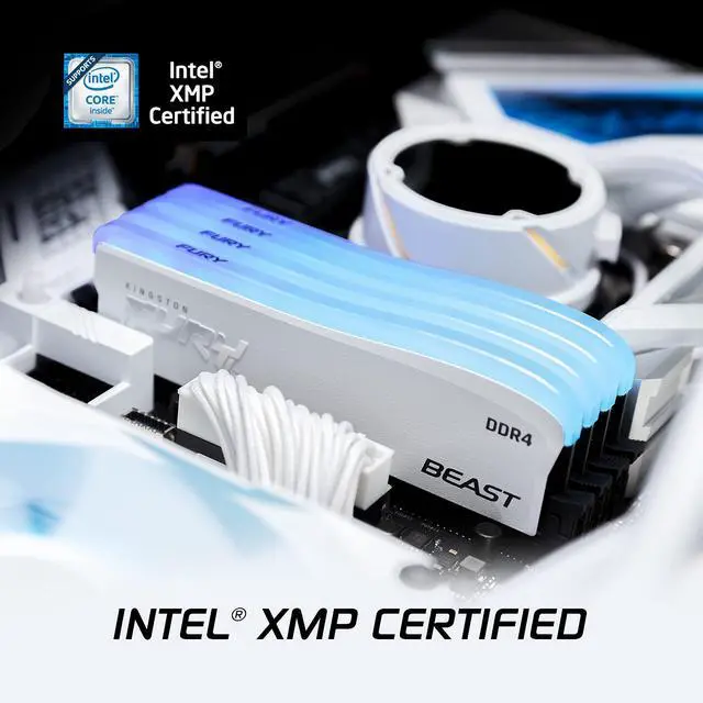 Alt view image 3 of 4 - Kingston Technology Fury Beast RGB Special Edition 8GB 3600MT/s CL17 DDR4 Desktop Memory Single Module | Infrared Syncing | Intel XMP & AMD Ryzen Ready | RGB CTRL Software | KF436C17BWA/8