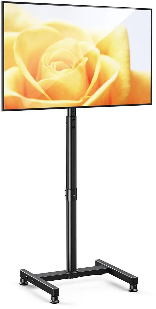 Main image of AM alphamount TV Floor Stand for 13-50 inch Flat/Curved TVs up to 44 lbs, 8 Level Height Adjustable Monitor Floor TV Stand with VESA 200x200, Portable TV Mount Stand for Living Room, Bedroom, Office
