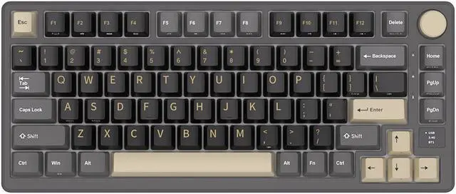 Alt view image 7 of 7 - RK ROYAL KLUDGE M75 Mechanical Keyboard 2.4GHz/Bluetooth/USB-C Wired Gaming Keyboard 75% Layout 81 Keys Gasket Mounted with OLED Smart Display & Knob, RGB Backlit Hot-Swappable Blue Switch Black Color