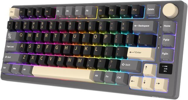 RK ROYAL KLUDGE M75 Mechanical Keyboard 2.4GHz/Bluetooth/USB-C Wired Gaming  Keyboard 75% Layout 81 Keys Gasket Mounted with OLED Smart Display & Knob, 