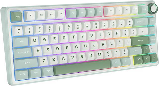 Main image of RK ROYAL KLUDGE R75 Mechanical Keyboard Wired with Volumn Knob 75% TKL Custom Gaming Keyboard Gasket Mount RGB Backlit with Software MDA Profile Hot Swappable Silver Switch PBT Keycaps