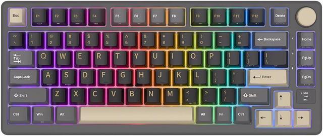 Main image of RK ROYAL KLUDGE M75 2.4G Wireless/Bluetooth/USB-C Mechanical Keyboard 81Keys RGB Hot-Swappable Gasket Gamer Keyboard with Screen Black