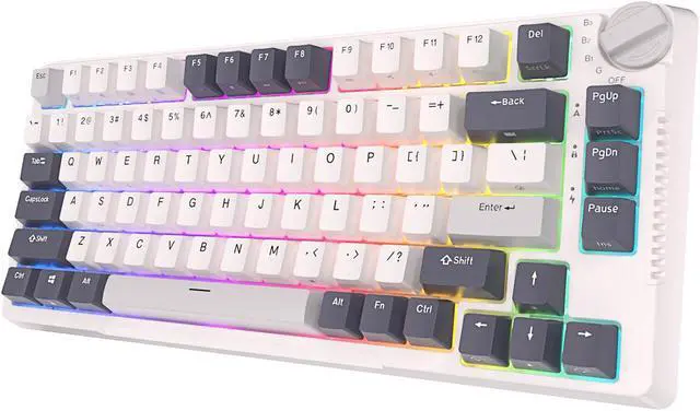 Main image of RK ROYAL KLUDGE H81 Hot Swappable Mechanical Keyboard, Triple Mode 2.4Ghz/BT5.1/USB-C Knob Control Wireless Gaming Keyboard Gasket Mounted with RGB Backlit Blue Switch, 75% Layout 81 Keys