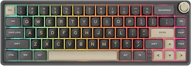 Main image of RK Royal Kludge R66 66 Keys Wired Gaming Keyboard Gasket Hot-Swapple Mechanical Keyboard PBT Keycaps RGB Custom Keyboard with Volume Knob & Indicator Lights for PC Mac
