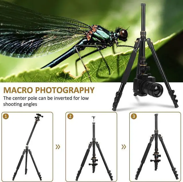 Alt view image 4 of 5 - Tripod for Camera, Professional DSLR Camera Tripod, Expandable to 210 cm Monopod, with 360° Swivel Head, Carry Bag, Tripod Can Carry 8 kg (Gold)