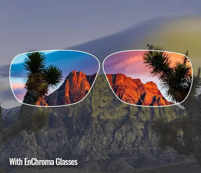 Alt view image 4 of 5 - Enchroma Color Blind Glasses - Rockridge - Correcting & Enhancing Glasses for Outdoor Use, Protan Color Blindness, Gunmetal