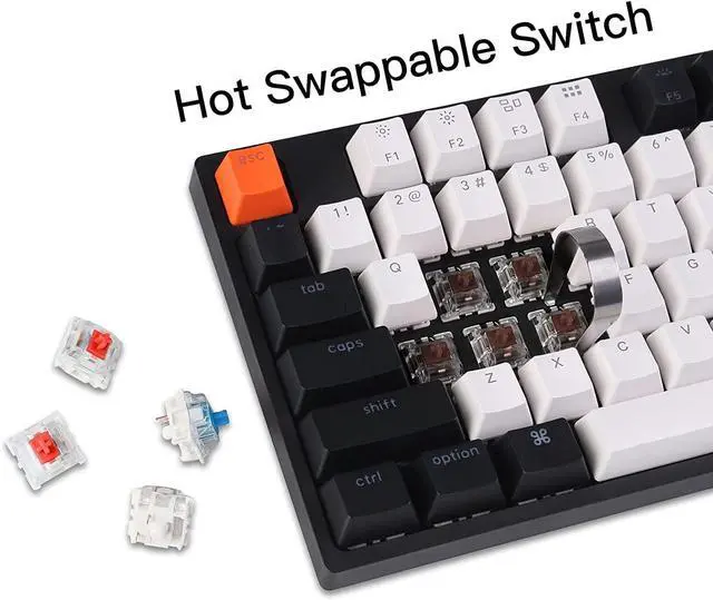 Alt view image 5 of 5 - Keychron C2 104 Keys Full Size Wired Mechanical Keyboard for Mac Windows, Hot-swappable Gateron Brown Switch RGB LED Backlit Double-Shot ABS Keycaps, USB-C Gaming Keyboard for Gamer/Typists/Office