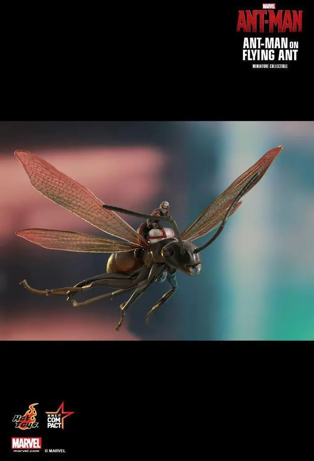 Alt view image 3 of 5 - Figure Hot Toys MMSC003 - Marvel Comics - Ant-Man - Ant-Man On Flying Ant