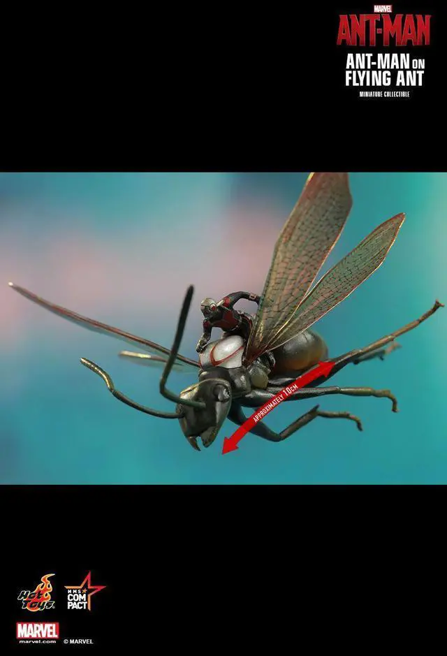 Alt view image 4 of 5 - Figure Hot Toys MMSC003 - Marvel Comics - Ant-Man - Ant-Man On Flying Ant