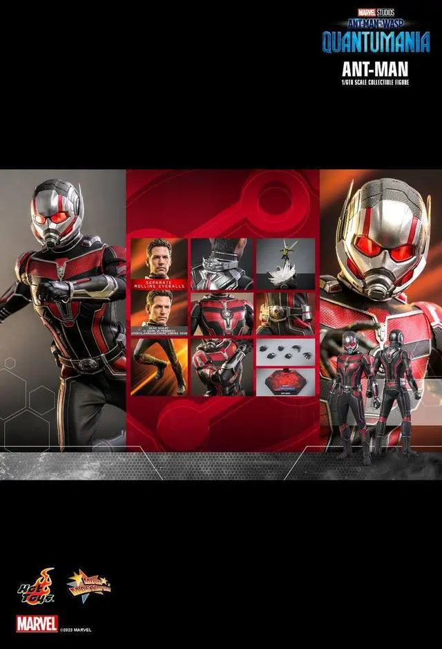 Alt view image 2 of 5 - Figure Hot Toys MMS690 - Marvel Comics - Ant Man & The Wasp : Quantumania - Ant Man
