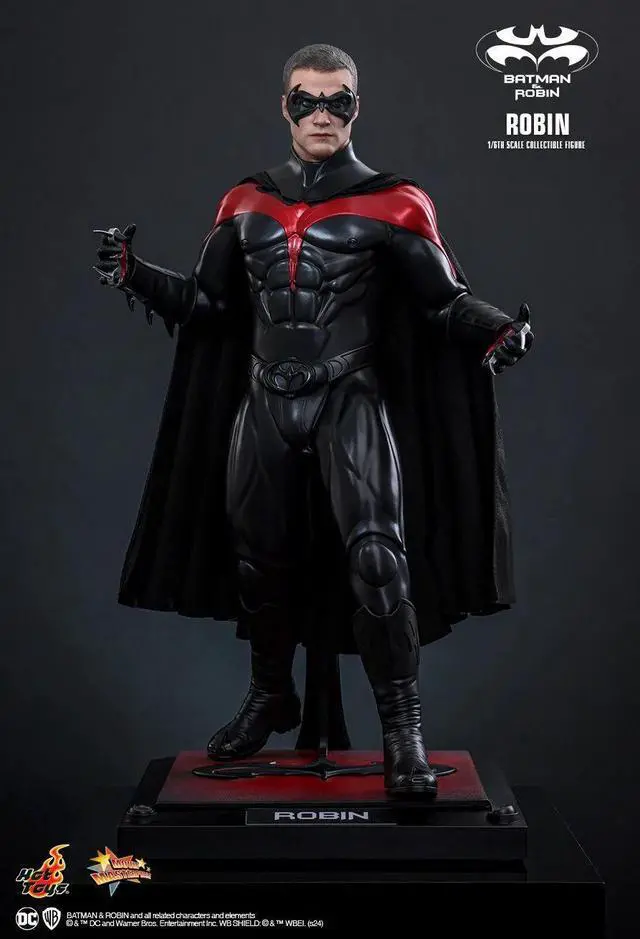 Alt view image 5 of 5 - Figure Hot Toys MMS787 - DC Comics - Batman & Robin - Robin