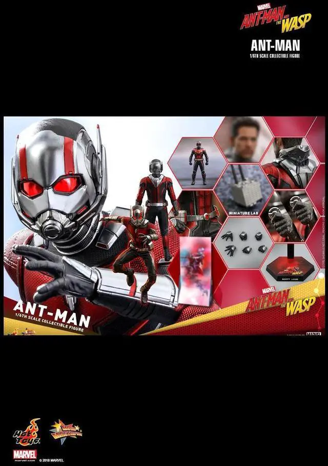 Alt view image 2 of 5 - Figure Hot Toys MMS497 - Marvel Comics - Ant-Man 2 : Ant-Man And The Wasp - Ant-Man