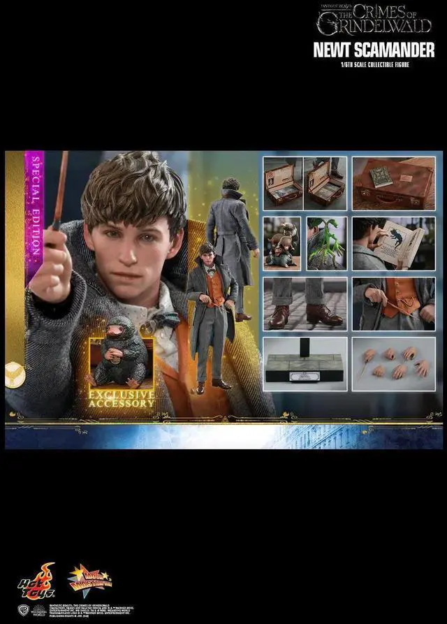 Alt view image 2 of 5 - Figure Hot Toys MMS512 - Fantastic Beasts : The Crimes Of Grindelwald - Newt Scamander Deluxe Vers