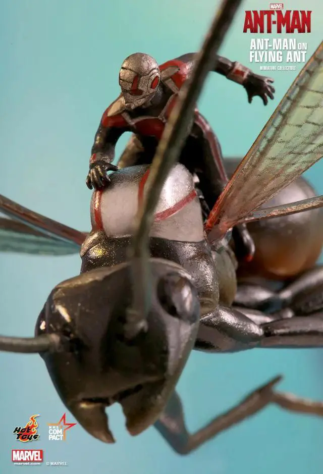 Alt view image 5 of 5 - Figure Hot Toys MMSC003 - Marvel Comics - Ant-Man - Ant-Man On Flying Ant
