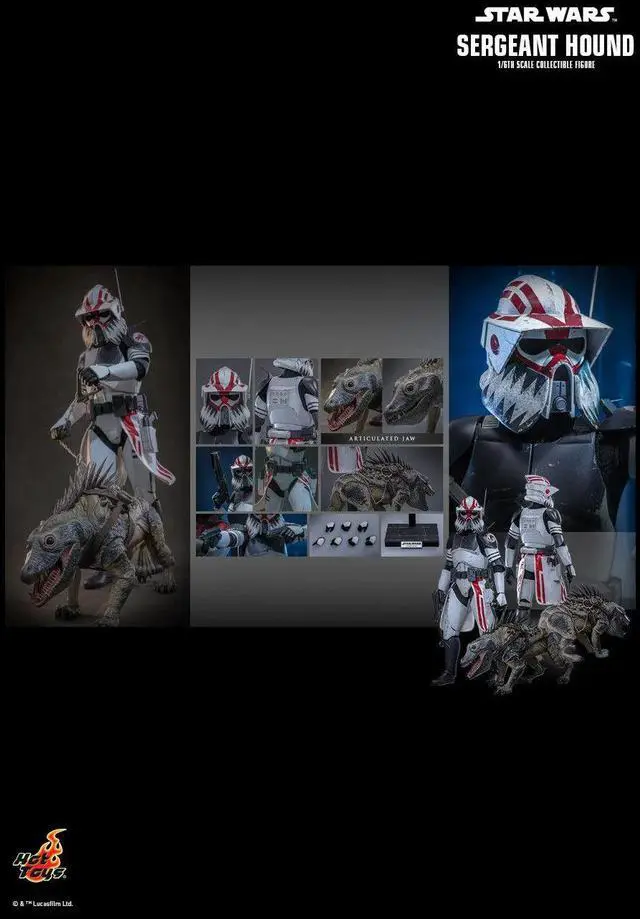 Alt view image 2 of 5 - Figure Hot Toys TMS167 - Star Wars : The Clone Wars - Sergeant Hound