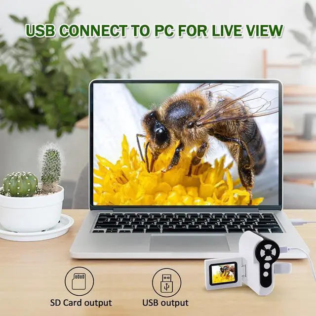 Alt view image 7 of 7 - 1000X Handheld Microscope for Kids, 4K 2.0" Screen Mini Pocket Microscope with 6 Adjustable LED Lights, Edu Science Birthday Gifts for Kids Ages 8-12, 32G SD Card Included
