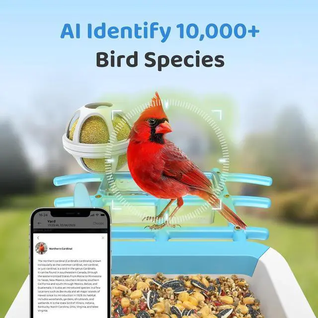 Alt view image 3 of 7 - Smart Bird Feeder with Camera Solar Powered, Birdfeeder Cam for Outside, AI Species Identify, 2K Live View, Instant Arrival Alerts, Bird Lover Gifts, Blue