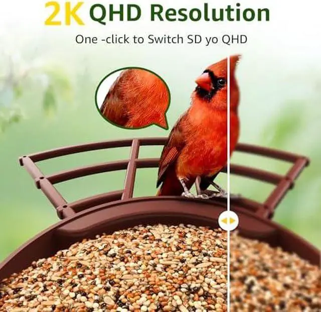 Alt view image 2 of 7 - Smart Bird Feeder with Camera 2K HD Auto Detect & Notify, AI Identify 10000+ Birds Camera with Solar Panel 5 Perch Attachments Wireless Outdoor Birdwatching Gift for Birds Lover, Blue