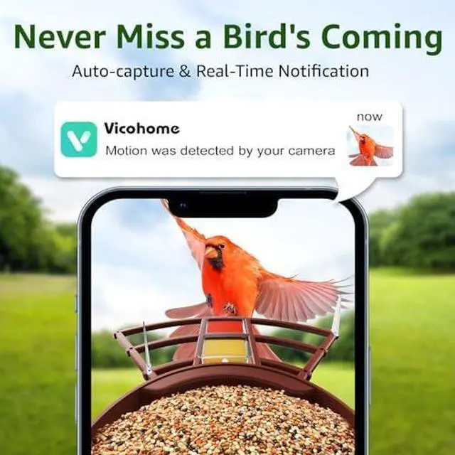 Alt view image 4 of 7 - Smart Bird Feeder with Camera 2K HD Auto Detect & Notify, AI Identify 10000+ Birds Camera with Solar Panel 5 Perch Attachments Wireless Outdoor Birdwatching Gift for Birds Lover, Blue