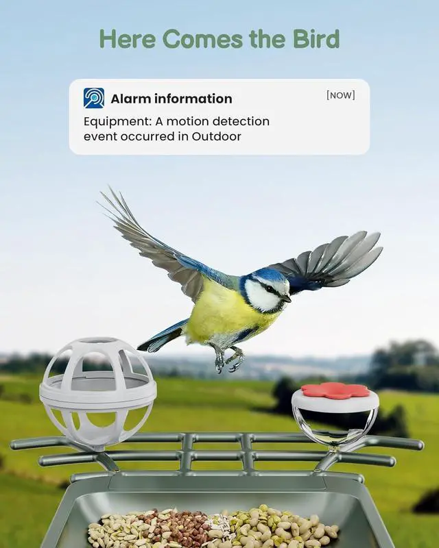 Alt view image 2 of 7 - Bird Feeder with Camera Outdoor Solar: Smart Birdfeeder Cam for Outside Garden - 2K HD Live Video Camera AI Recognition Visible Window Auto Capture - Bird Lover Gifts