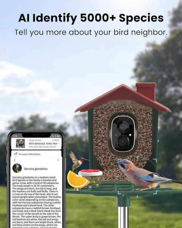 Alt view image 3 of 7 - Bird Feeder with Camera Outdoor Solar: Smart Birdfeeder Cam for Outside Garden - 2K HD Live Video Camera AI Recognition Visible Window Auto Capture - Bird Lover Gifts