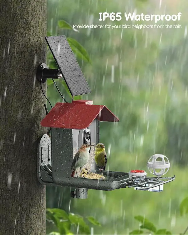 Alt view image 4 of 7 - Bird Feeder with Camera Outdoor Solar: Smart Birdfeeder Cam for Outside Garden - 2K HD Live Video Camera AI Recognition Visible Window Auto Capture - Bird Lover Gifts