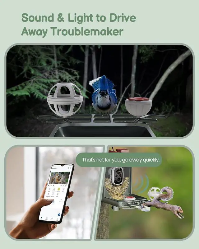 Alt view image 6 of 7 - Bird Feeder with Camera Outdoor Solar: Smart Birdfeeder Cam for Outside Garden - 2K HD Live Video Camera AI Recognition Visible Window Auto Capture - Bird Lover Gifts