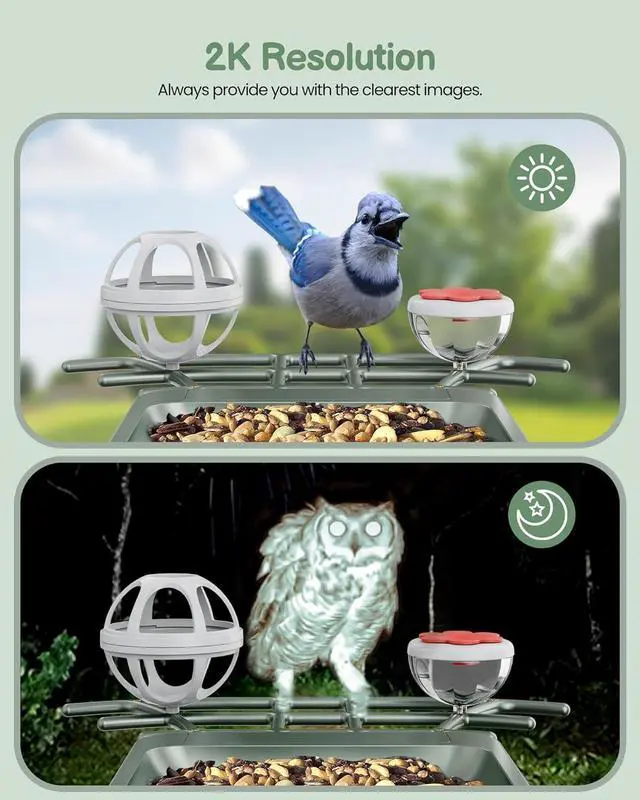 Alt view image 7 of 7 - Bird Feeder with Camera Outdoor Solar: Smart Birdfeeder Cam for Outside Garden - 2K HD Live Video Camera AI Recognition Visible Window Auto Capture - Bird Lover Gifts