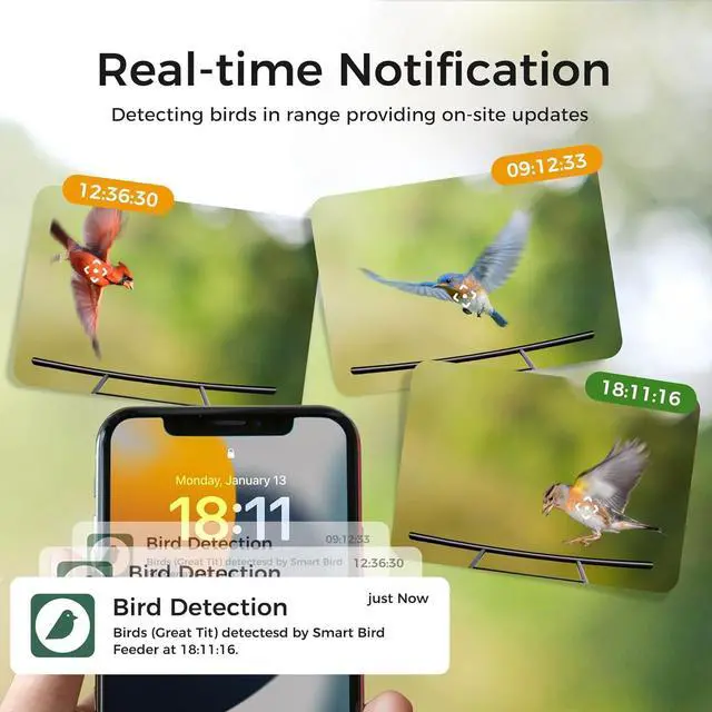 Alt view image 3 of 7 - Bird Feeder with Camera,  Smart Bird House Cam with Instant Arrival Alerts, AI Identies 10,000+ Species & Free Cloud Video, Suitable for Birdwatching (Powered by Birdty App)