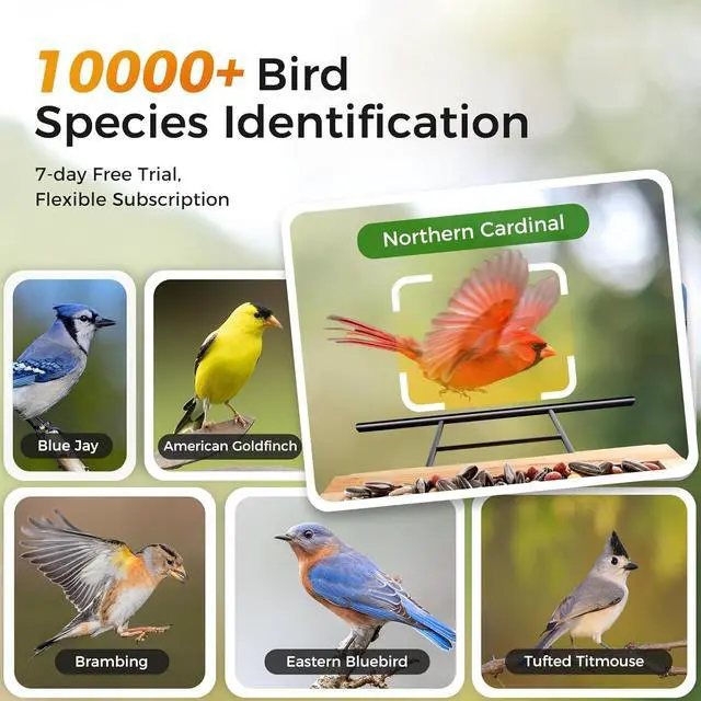 Alt view image 4 of 7 - Bird Feeder with Camera,  Smart Bird House Cam with Instant Arrival Alerts, AI Identies 10,000+ Species & Free Cloud Video, Suitable for Birdwatching (Powered by Birdty App)