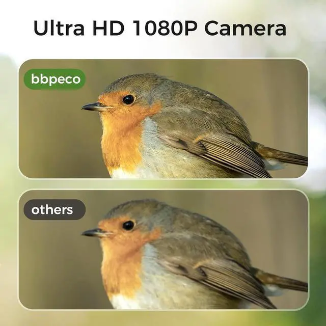 Alt view image 5 of 7 - Bird Feeder with Camera,  Smart Bird House Cam with Instant Arrival Alerts, AI Identies 10,000+ Species & Free Cloud Video, Suitable for Birdwatching (Powered by Birdty App)