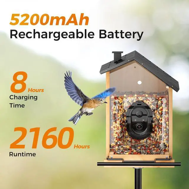 Alt view image 6 of 7 - Bird Feeder with Camera,  Smart Bird House Cam with Instant Arrival Alerts, AI Identies 10,000+ Species & Free Cloud Video, Suitable for Birdwatching (Powered by Birdty App)