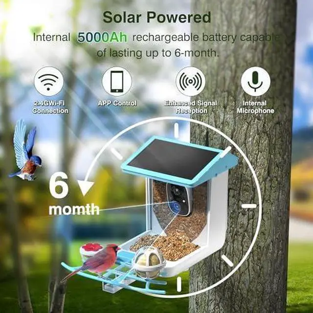 Alt view image 6 of 6 - Bird Feeder with Camera Solar-Ai Species Identification,1296P HD Outdoor Squirrel Proof Smart Bird Feeders Camera Live View, Focus Auto Record Videos